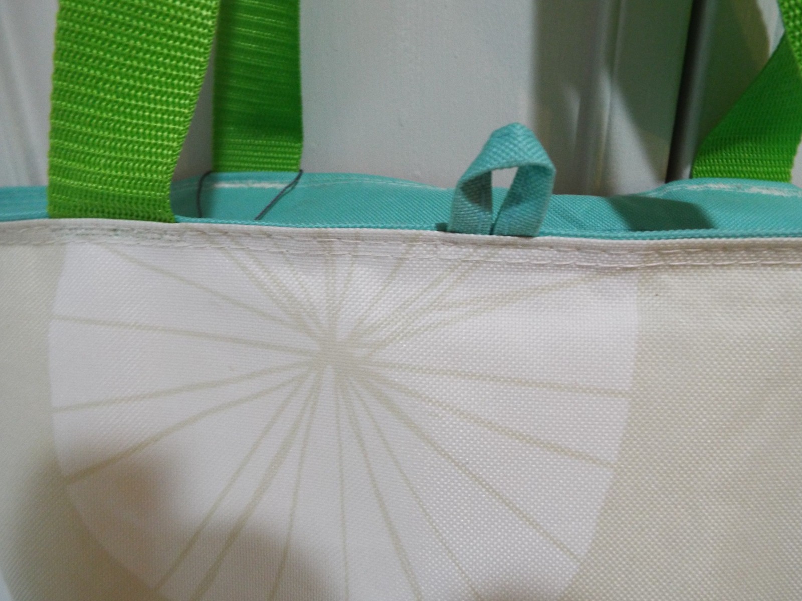 Whole Foods Market Bag Tan Green Aqua Large Canvas Cooler Insulated Bag HTF