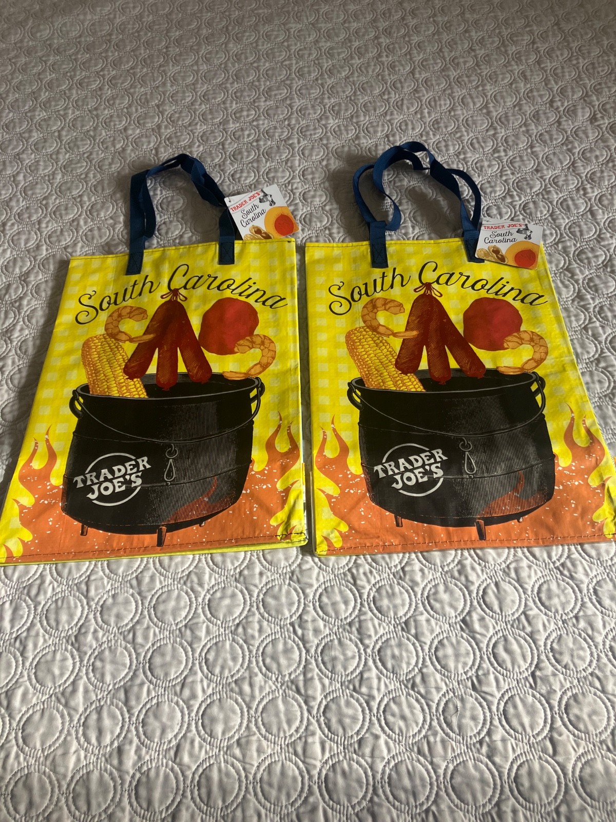Trader Joe’s South California Reusable 6 GAL Bag Shopping Grocery LOT OF 2 W TAG