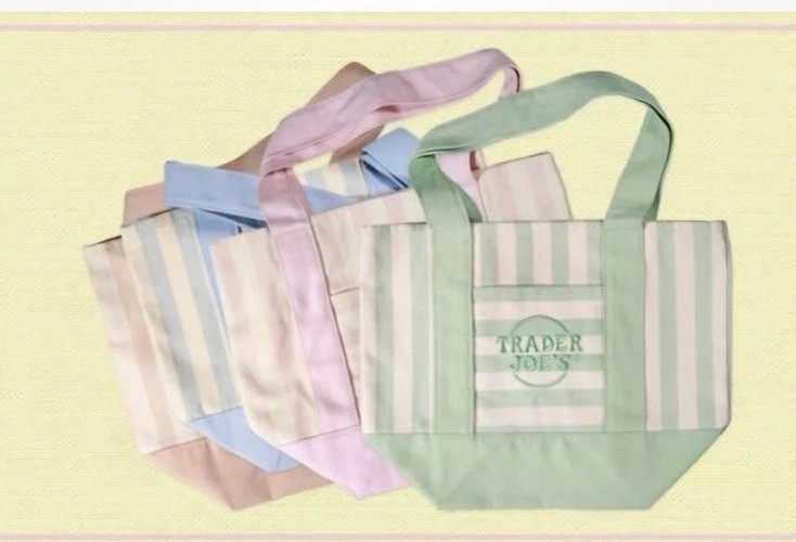 Set Of 4 NWT Trader Joe’s Striped Canvas Mini Tote Summer 2026 In Hand!