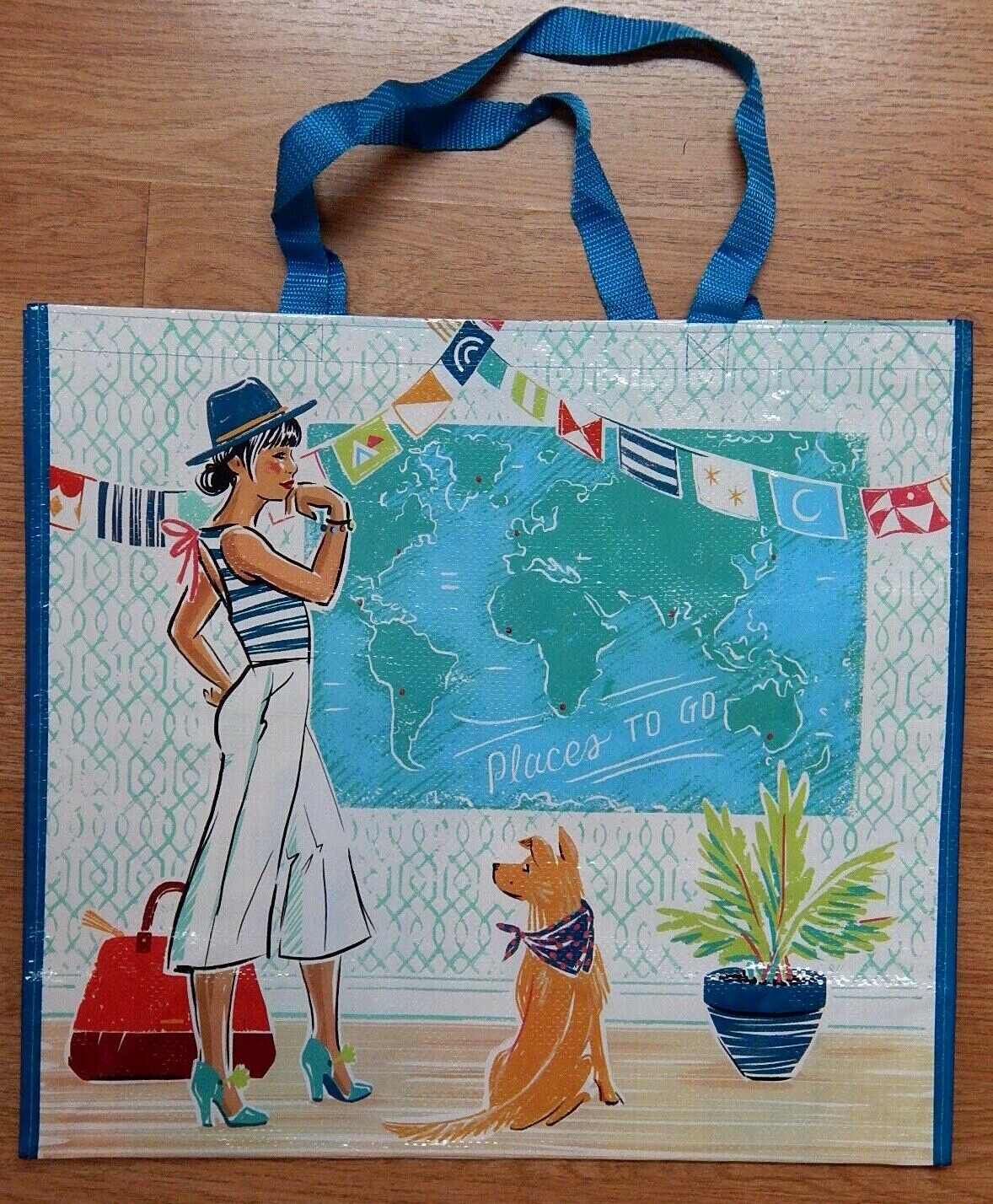 REUSABLE SHOPPING TRAVEL TOTE BAG PLACES TO GO TRAVEL ECO FRIENDLY TJMAXX NEW
