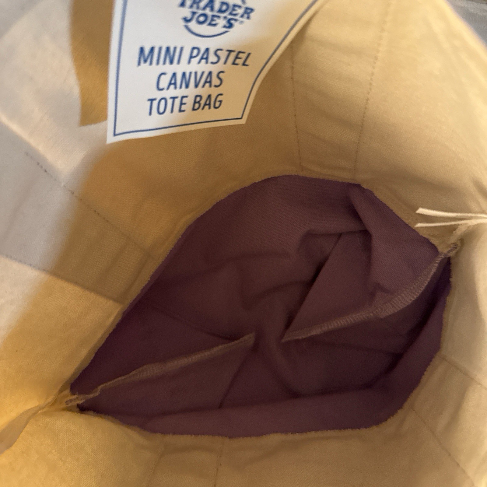 Trader Joe’s Mini Pastel Canvas Tote Bag Beige Purple 13 x 10 x 5 in