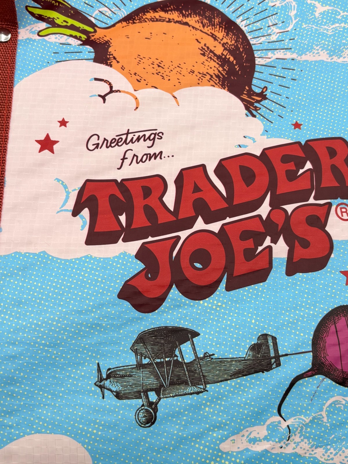 Trader Joes Grocery Shopping Bag Collapsible Tote Stand Up 6 Gallons Moon Plane