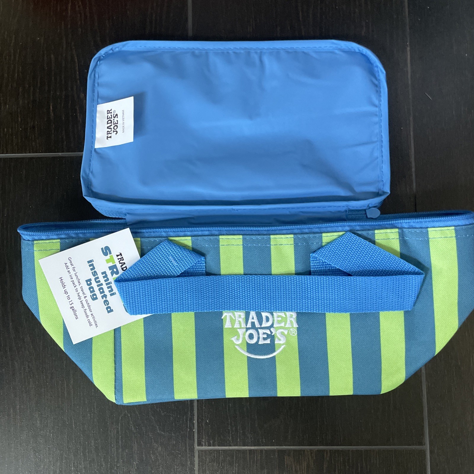 Trader Joe’s Mini Insulated Bag Cooler Striped 1.5 Gal Navy & Green