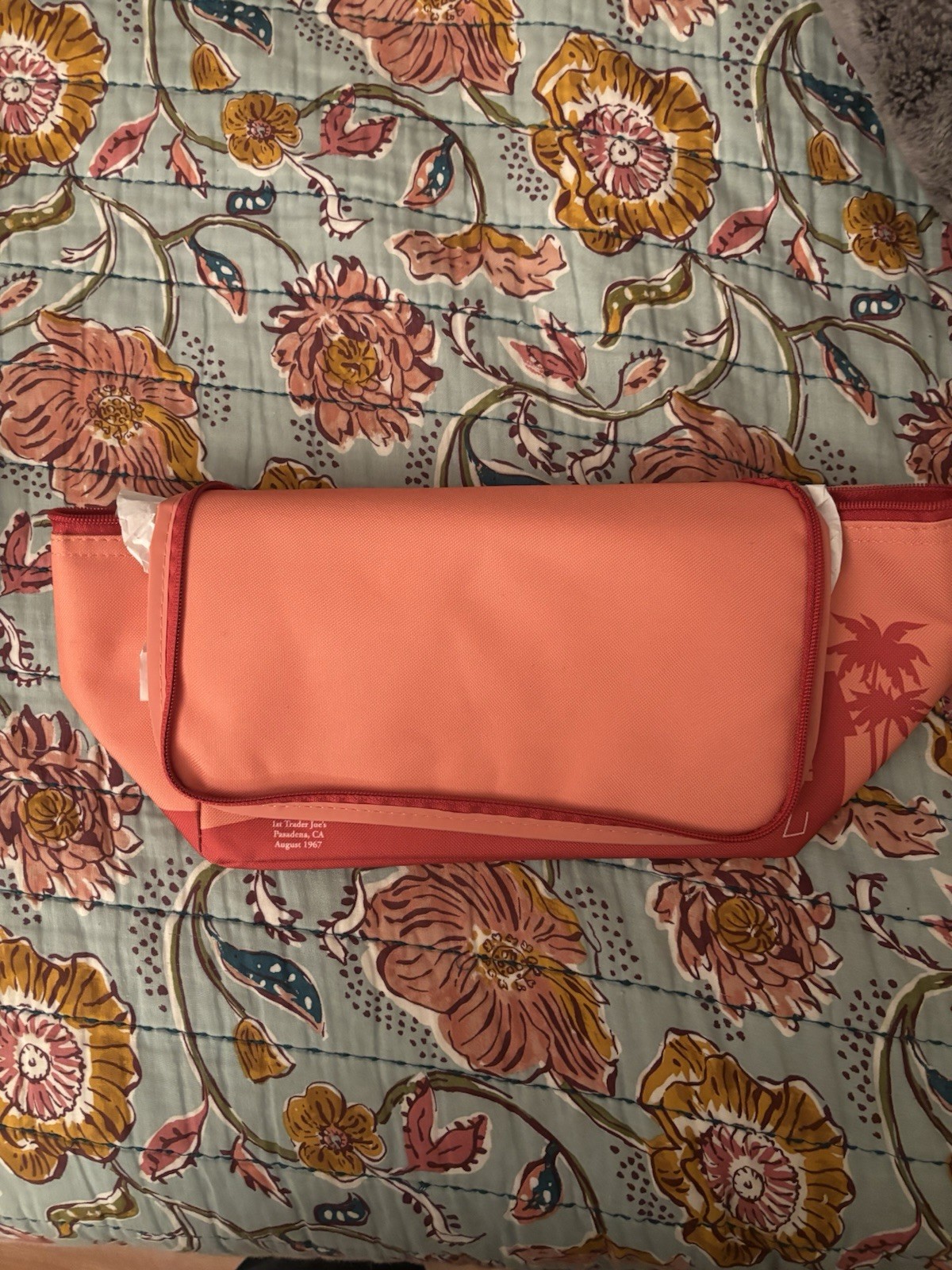 Trader Joes Mini Insulated Bag (Peach) Picnic Travel Cooler
