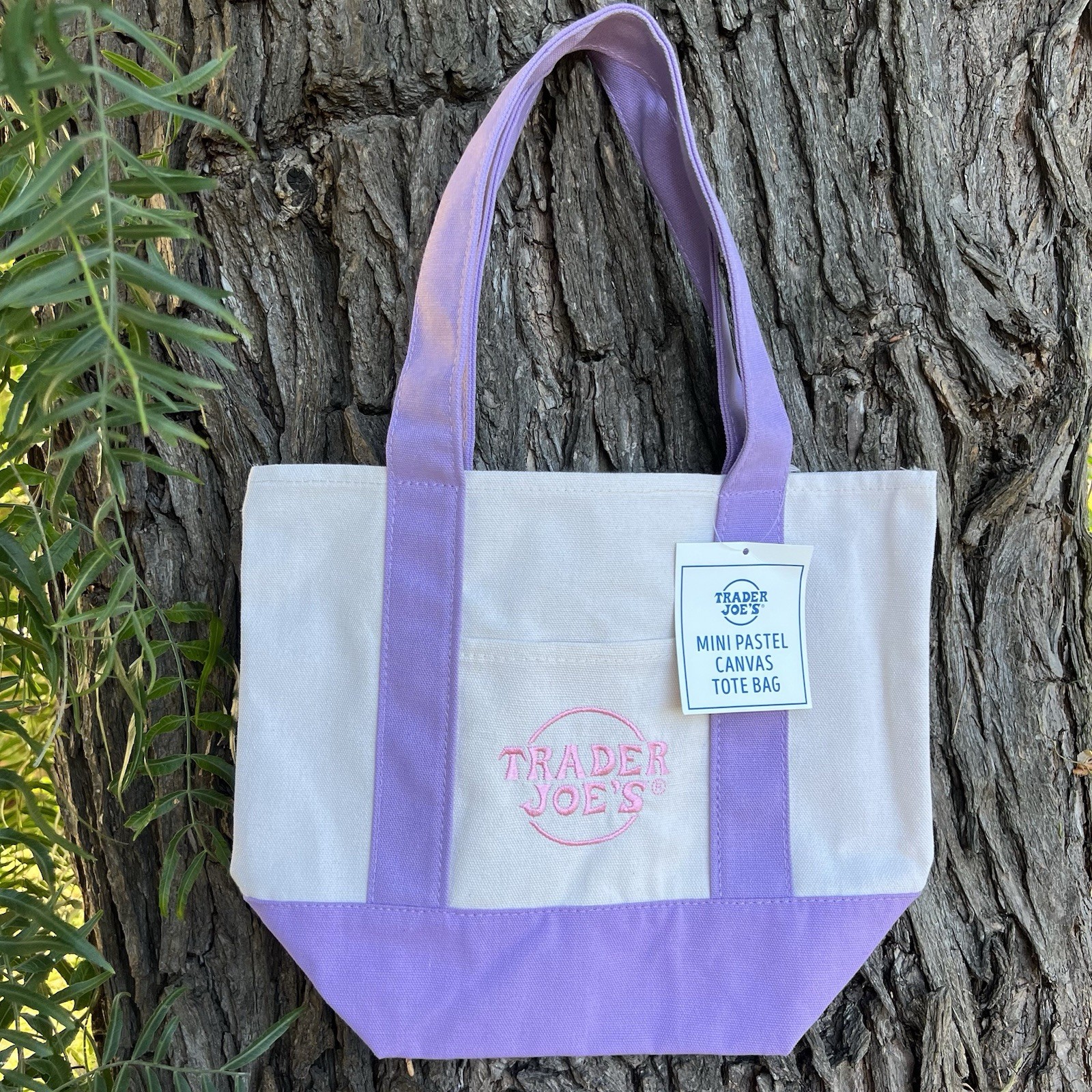 Trader Joe’s Mini Canvas Tote Bag Purple Easter Basket Spring 2026 FREE SHIP