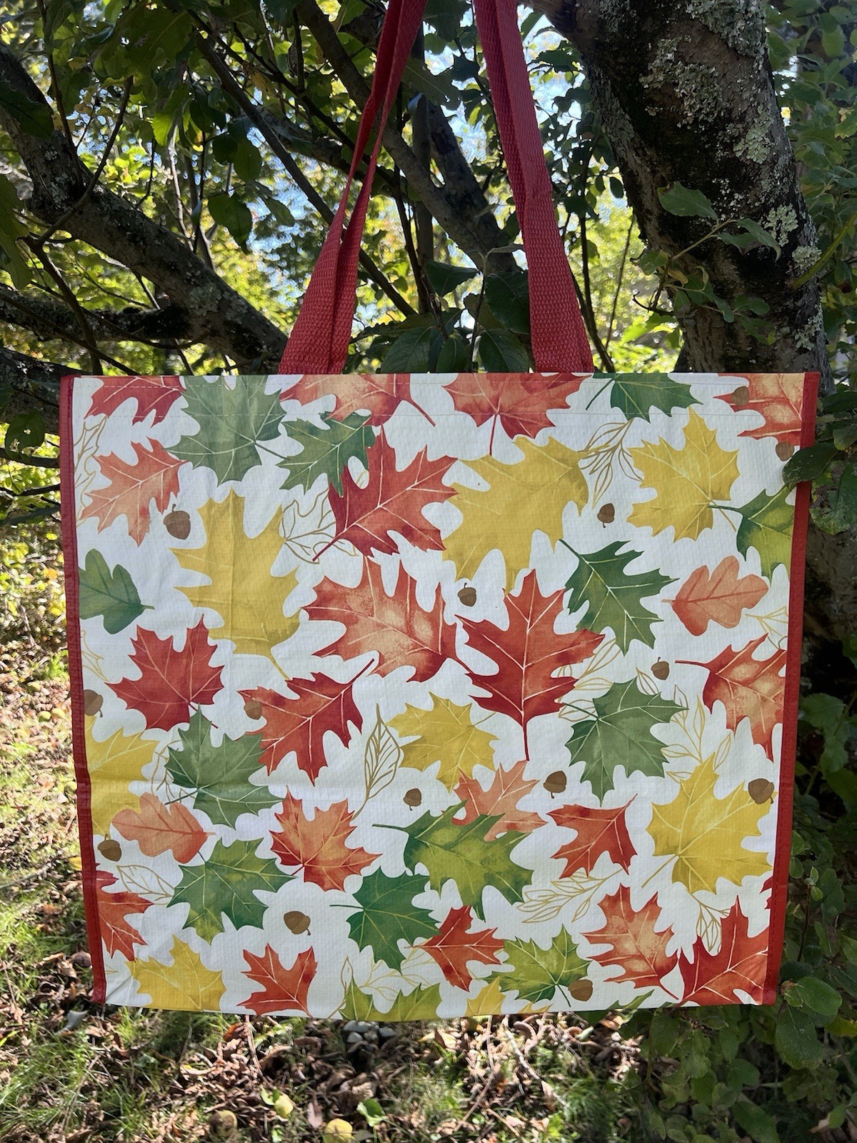 🍁FALL 🍁🍁Reusable Tote Bag ~ 20″ X 18″ X 8″ ~ FALL LEAVES by HOMEGOODS