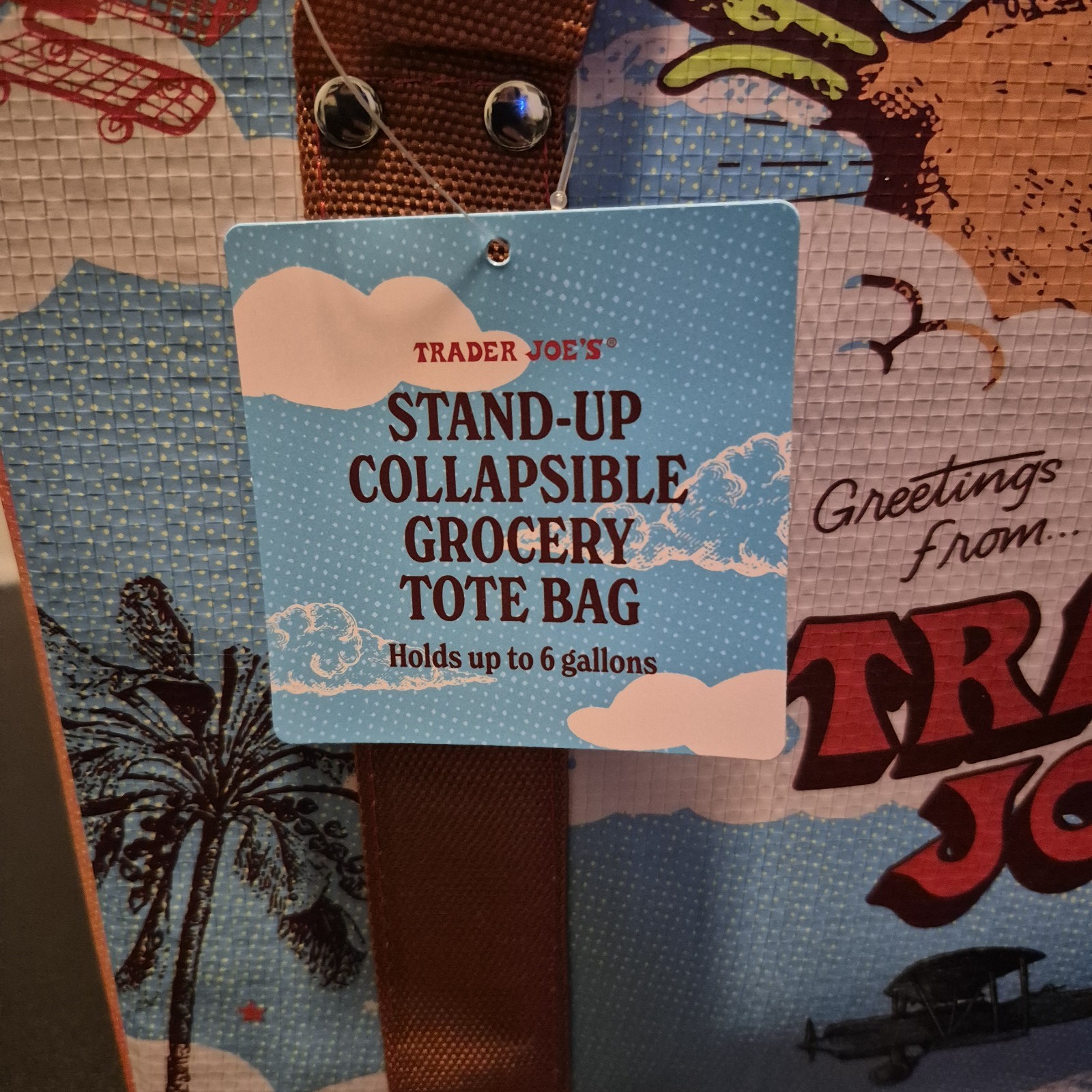 New Trader Joe’s Stand Up Collapsible Reusable Grocery Tote Shopping Bag
