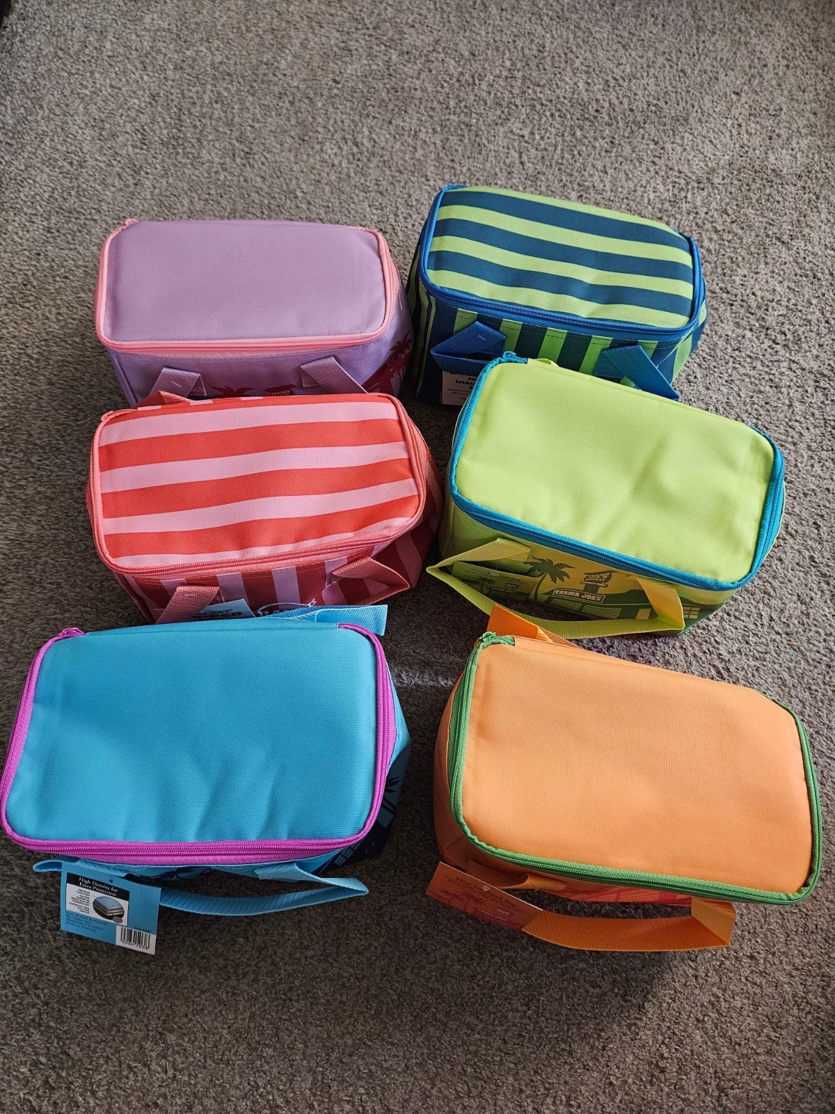 Trader Joe’s 2026 Mini Insulated Cooler Tote Limited Edition SET OF 6!