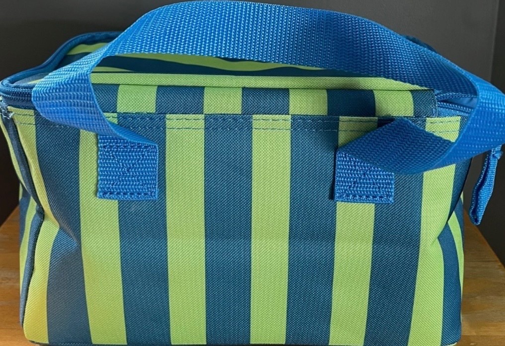 Trader Joes mini insulated bag blue and green stripes