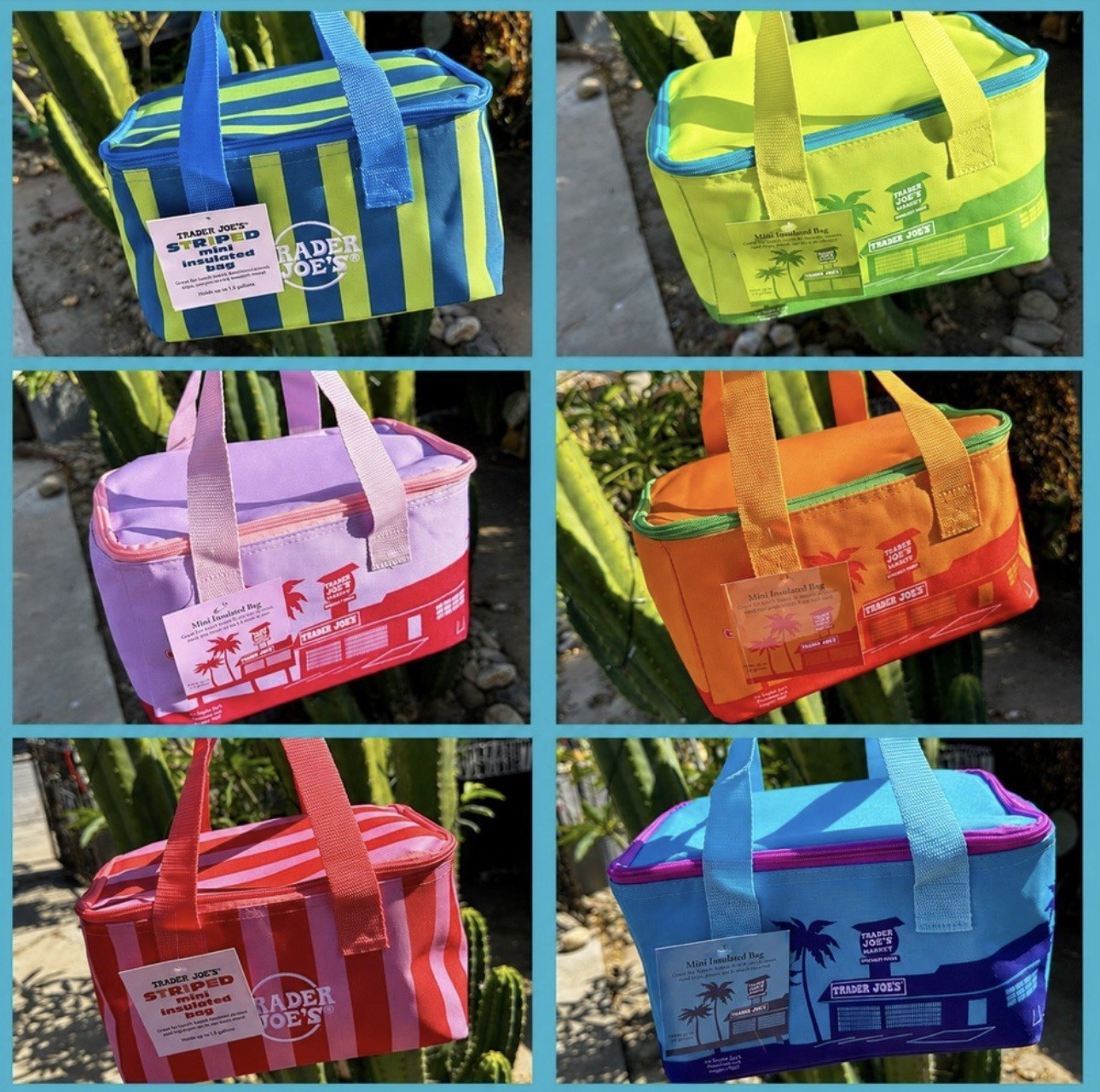 Trader Joe’s 2026 Summer Mini Insulated Tote Bags NWT Authentic