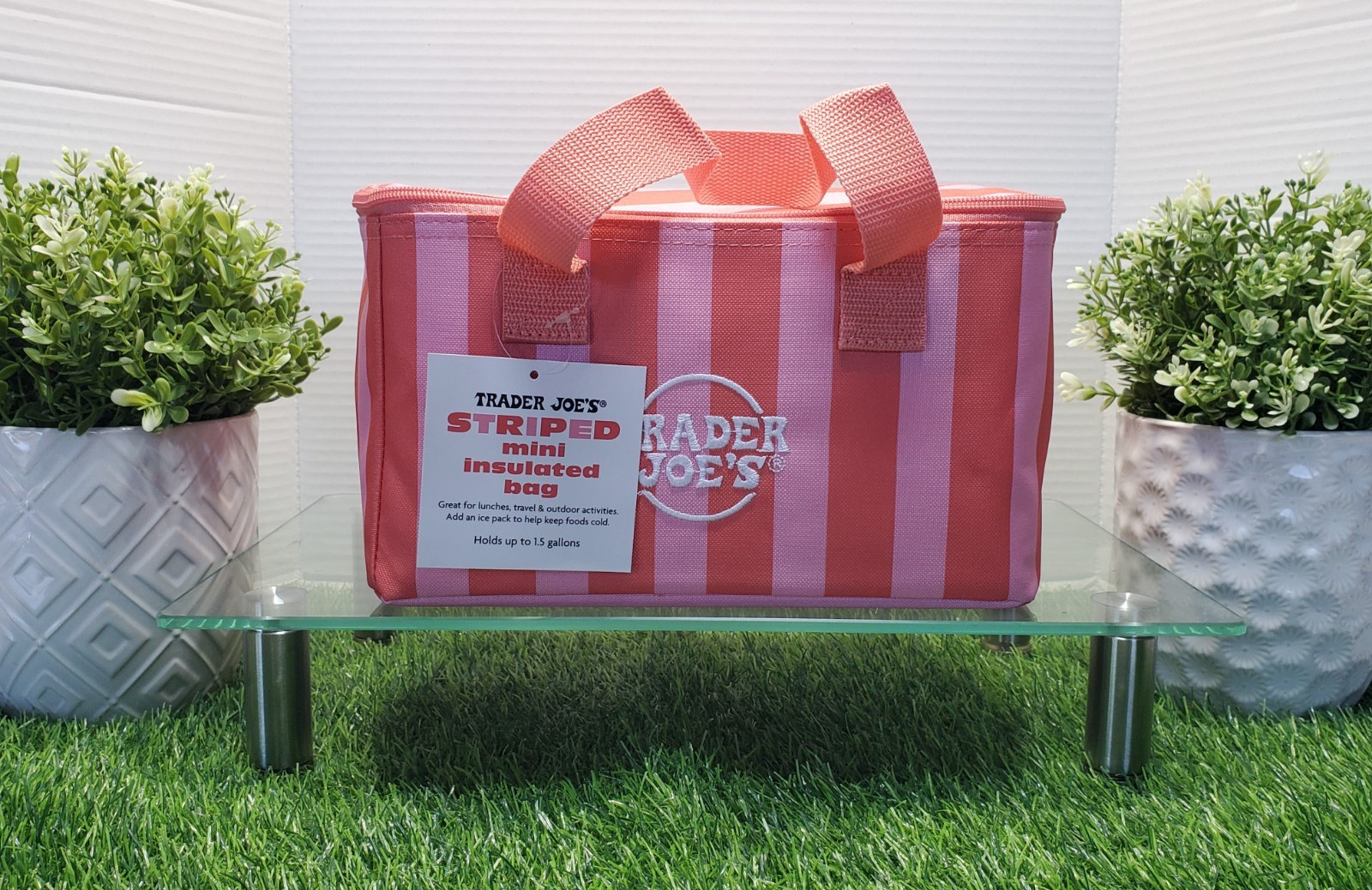Trader Joe’s Summer 2026 Mini Insulated Tote Bag Pink Stripes 1.5 Gallons💗🌴NEW
