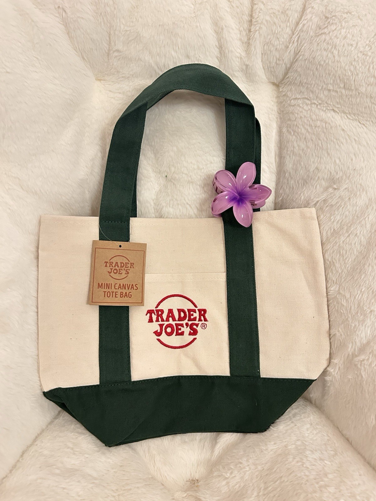 Trader Joe’s Mini Canvas Tote Bag Foldable Beige Green Small Reusable