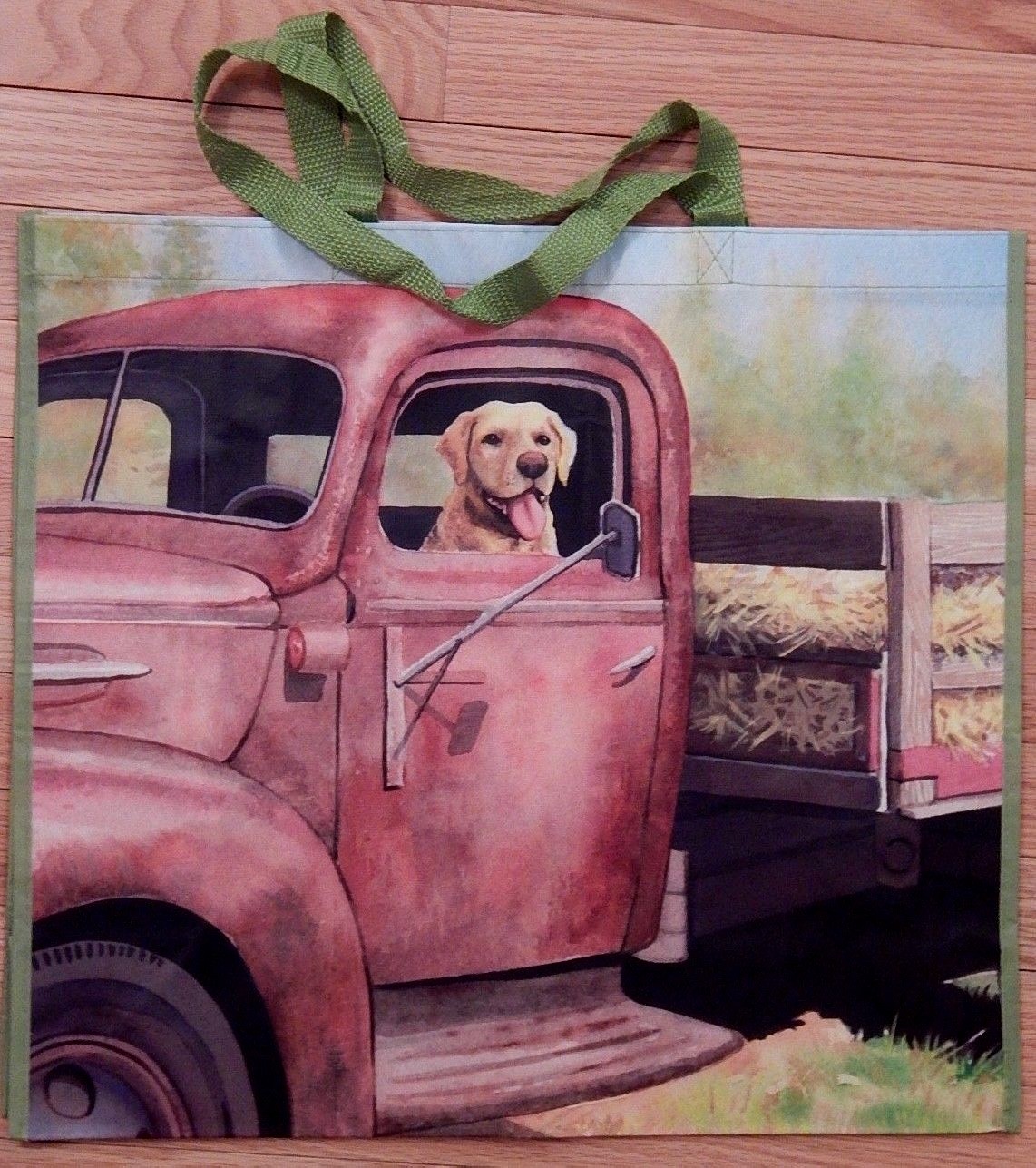REUSABLE SHOPPING TRAVEL TOTE BAG DOG CAR ECO FRIENDLY TJMAXX NEW