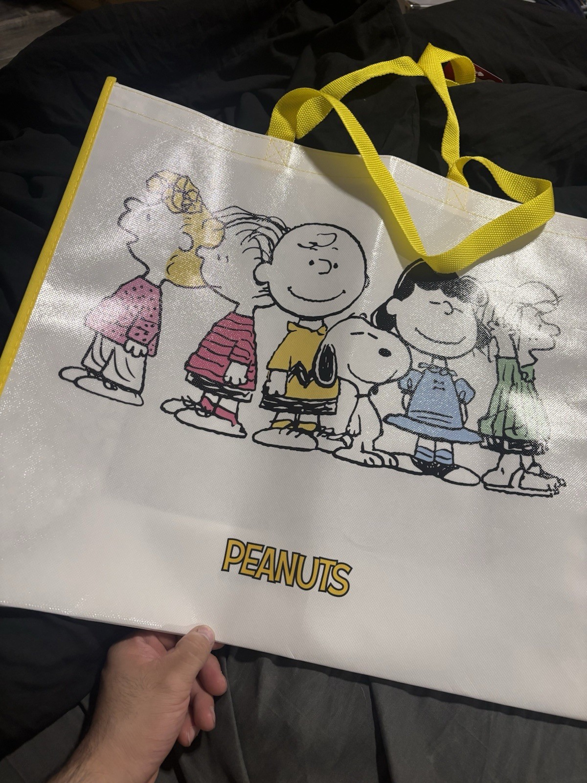 Peanuts Gang New Reusable Shopping Bag Grocery Travel Bag 19.5″x17.5″x7.25″