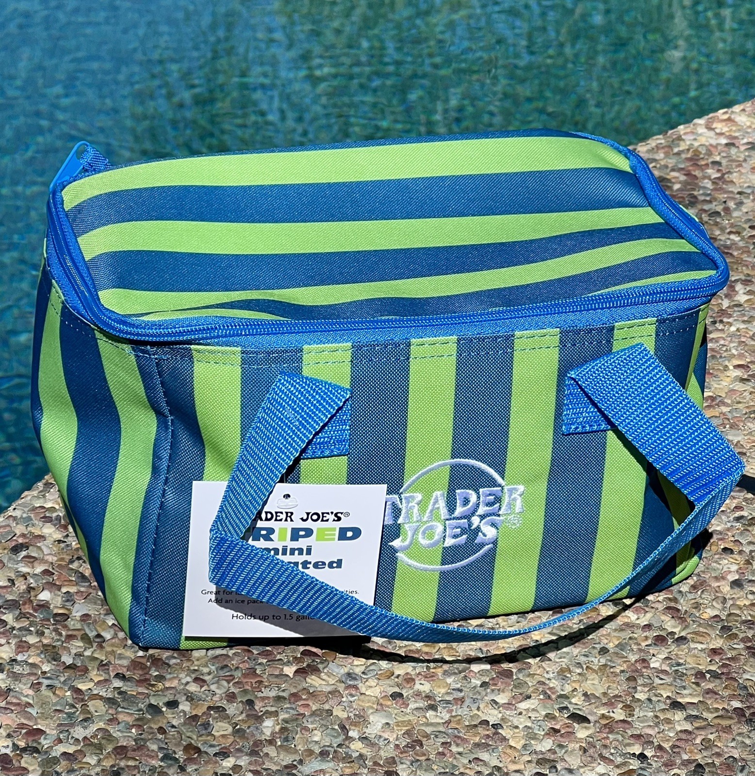 Trader Joe’s Insulated Neon Lime Striped MINI Tote Bag w/ Zipper Top & Handles