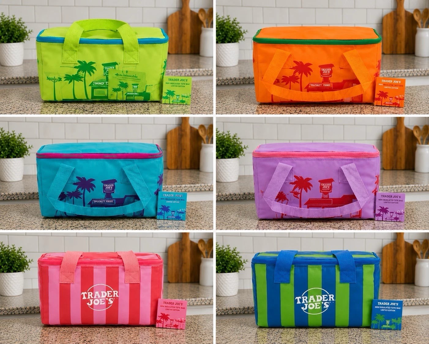 Trader Joe’s 2026 “Summer Fun” Mini Insulated Tote Bags Set of 6 NWT Authentic
