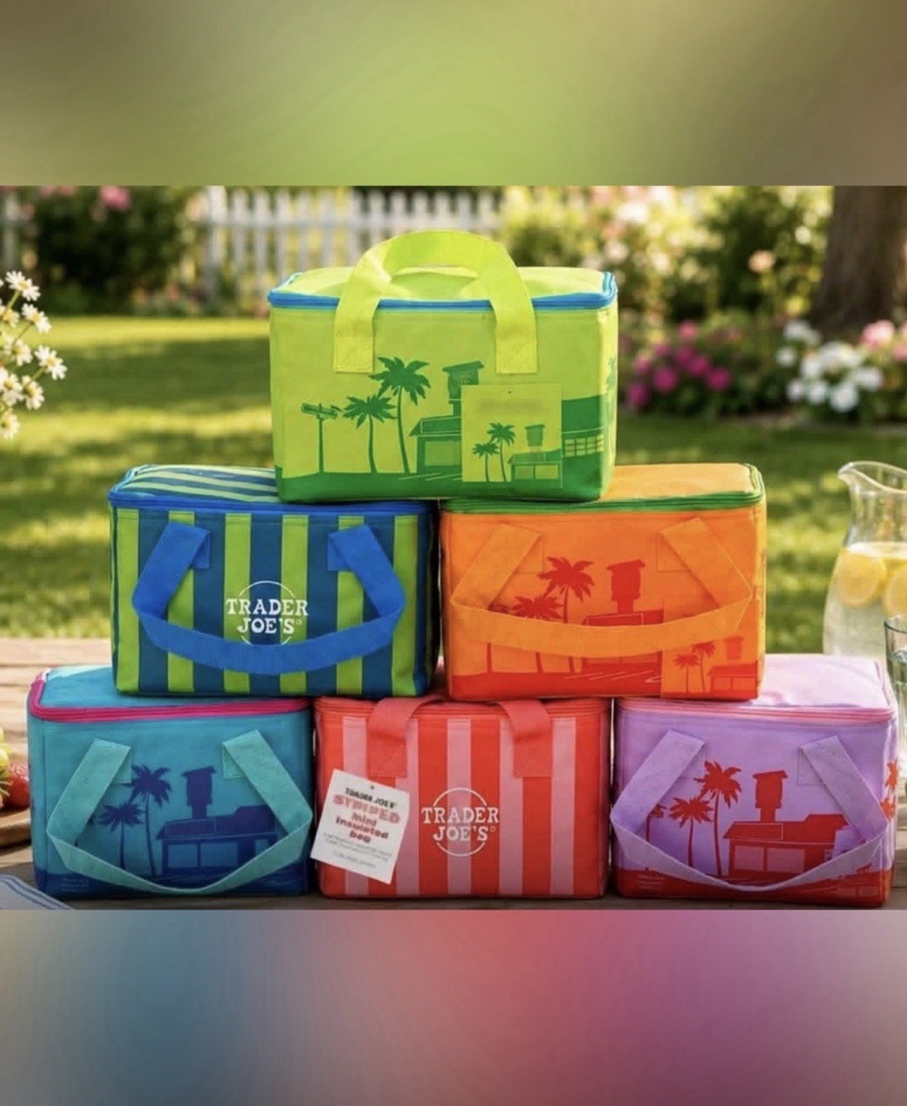 Trader Joe’s Mini Insulated Cooler Tote Bag Summer 2026 set of 6