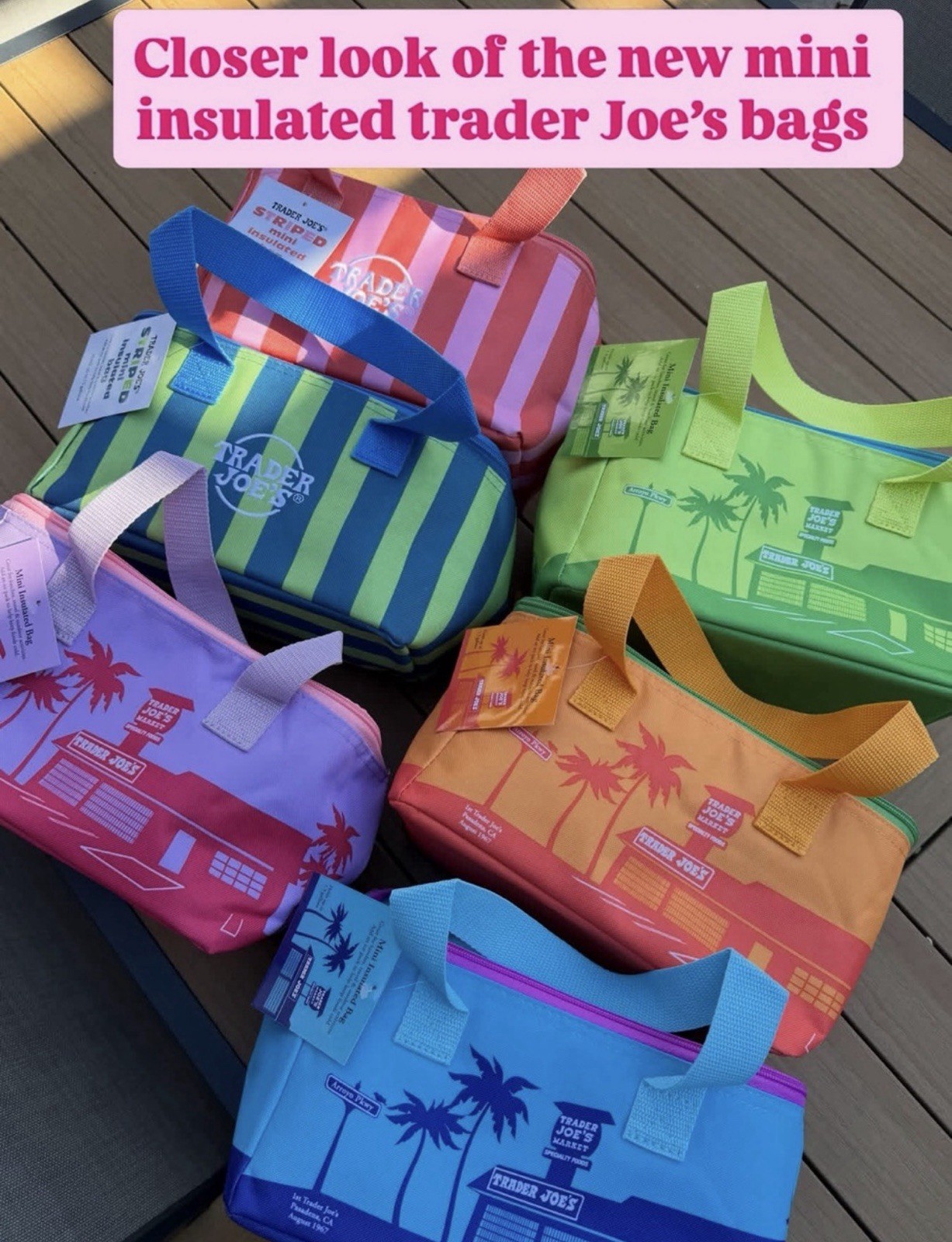 Trader Joe’s Mini Insulated Cooler Tote Bag Summer 2026 set of 6