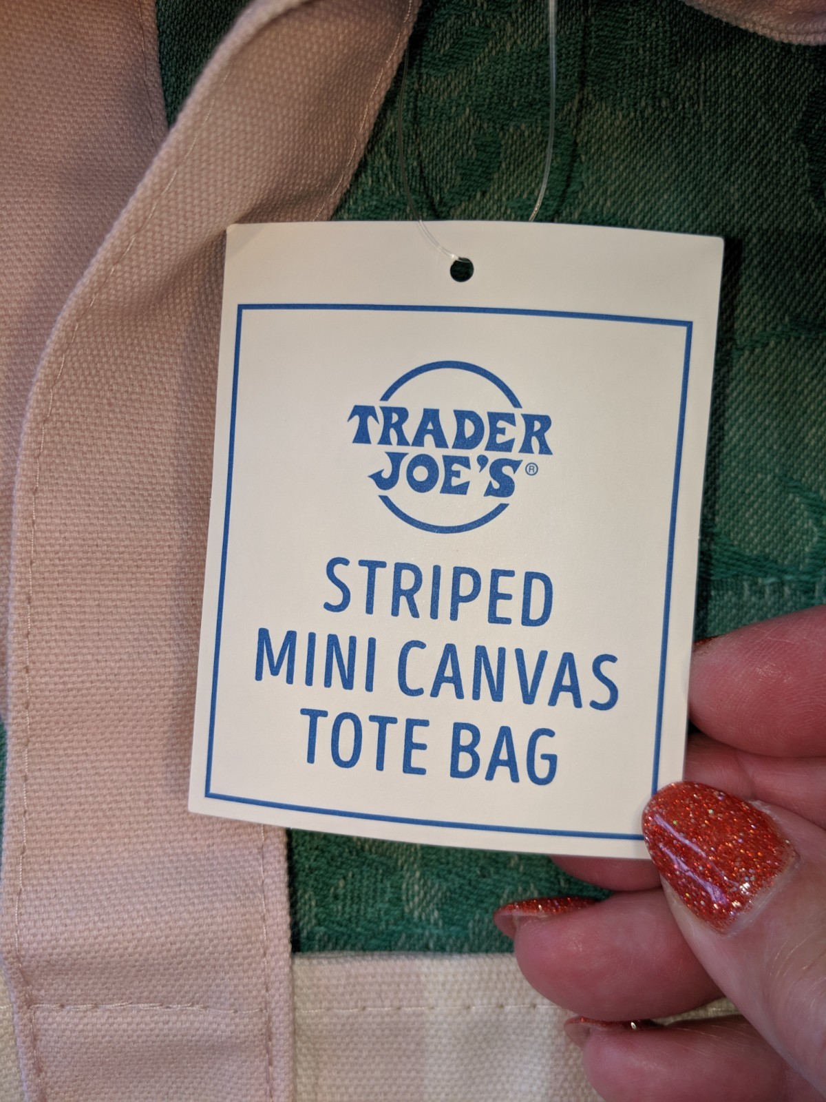 Trader Joe’s Mini Pastel Stripe Canvas Tote Bag Green