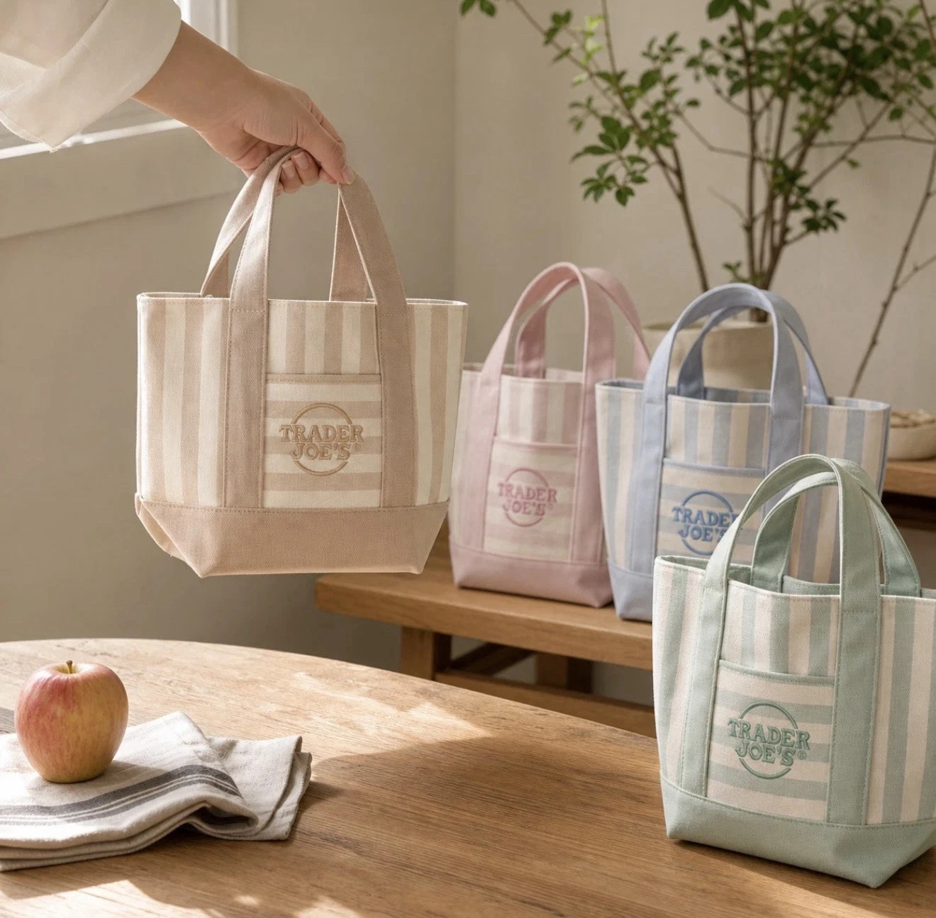 Trader Joe’s Mini Pastel Stripe Canvas Tote Bag Limited Edition Set Of 4 2026