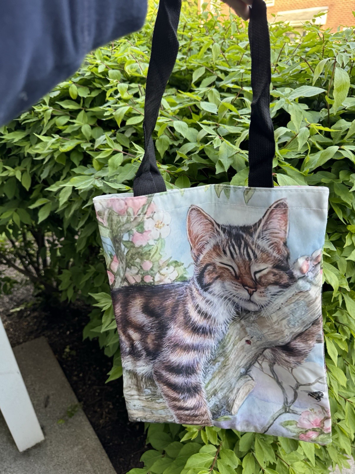 Reusable Tote Shopping Bag Cat Animal Print, Multicolor, Black Handles 16x16x4″