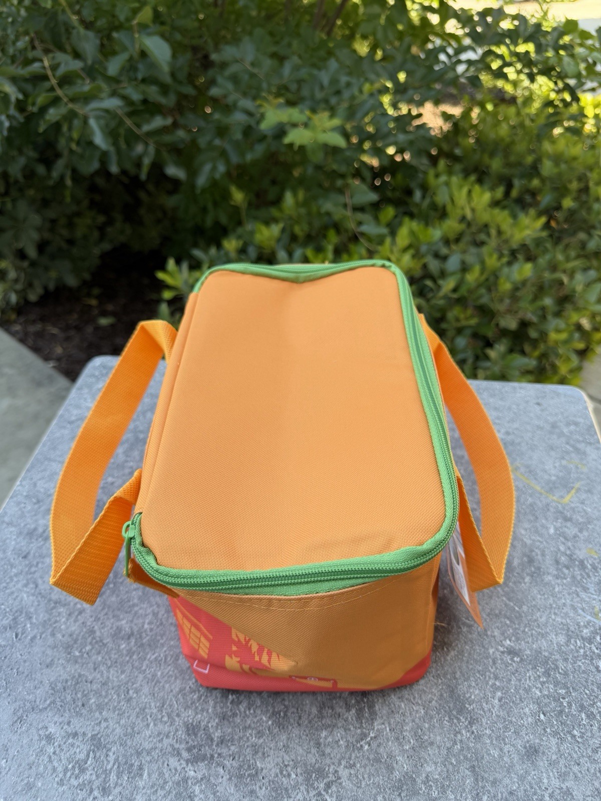 Trader Joe’s Orange and Green Zipper Mini Insulated Summer Tote, 1.5 Gal, NWT