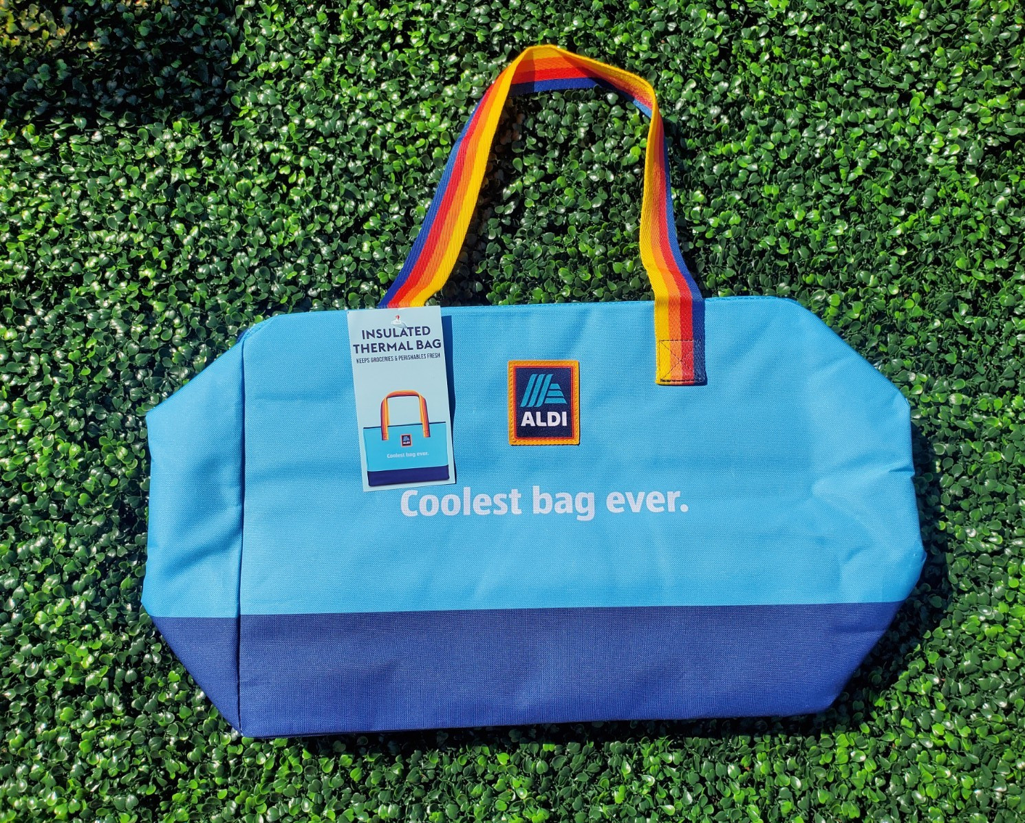 Aldi Large Insulated Freezer Cooler Bag Market Shopper🔵🔴🟡 2026 NEW