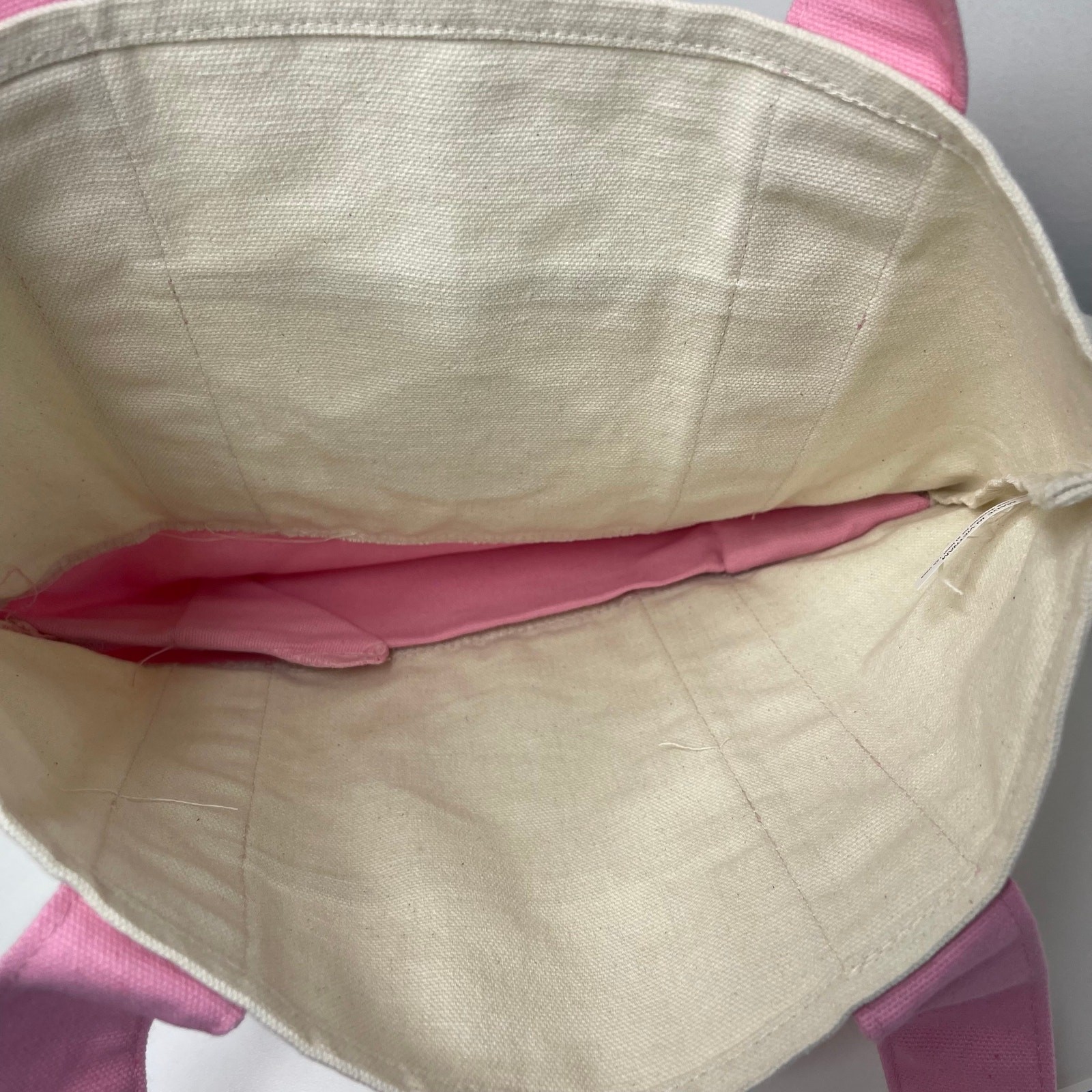 LOT Set of 4 — Trader Joe’s Canvas MINI Tote Bag — Pastel Purple Green Pink Blue