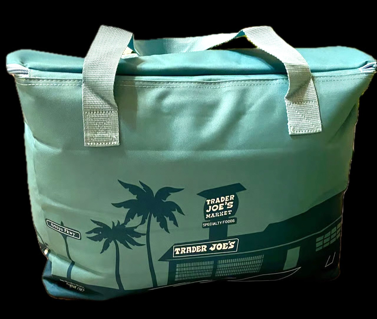 Trader Joe’s Blue Green Tote Insulated Freezer Cooler Bag Market Shopper LG NEW