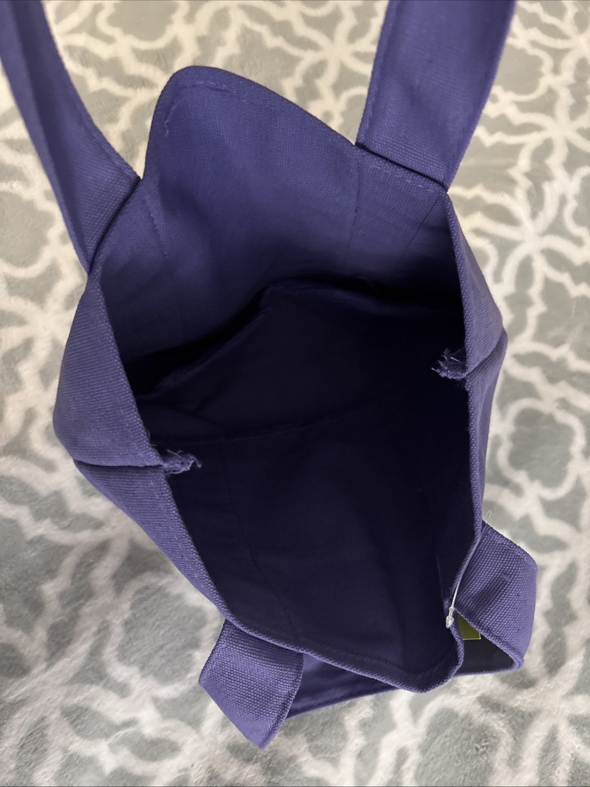 Trader Joe’s Purple Mini Canvas Trick or Treat Tote Bag