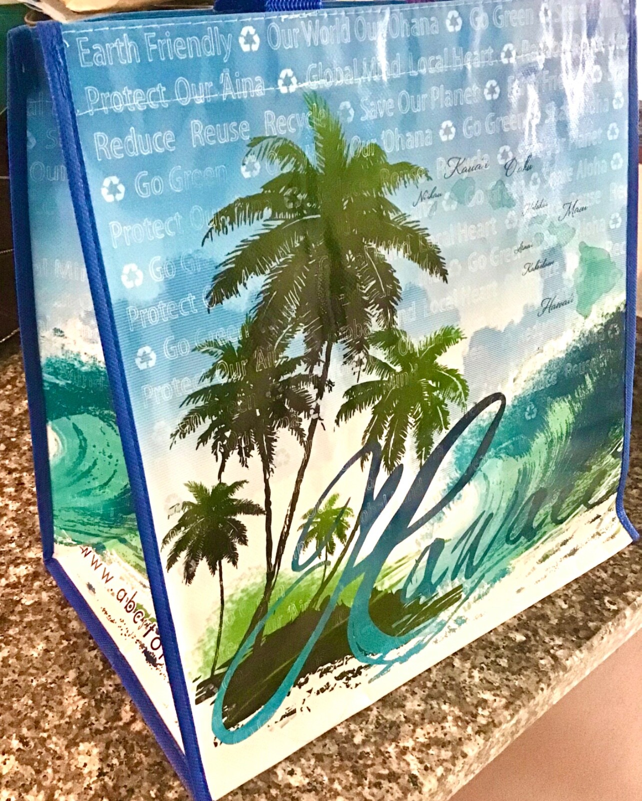 HAWAIIAN WAVE REUSABLE SHOPPING BAG BEACH BAG / BEACH TOTE