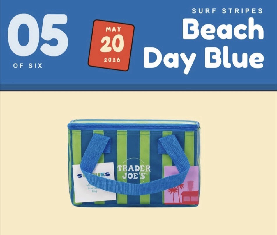 Trader Joe’s New Summer STRIPEs Mini Insulated Lunch Bag Set Of 2, NWT