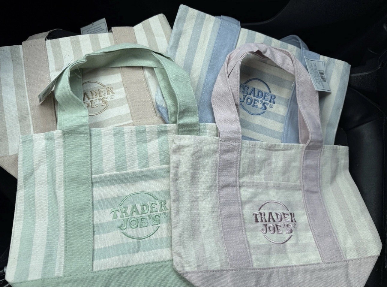Trader Joe’s Striped Mini Canvas Tote Bag Reusable Multicolor 10x10x6 in
