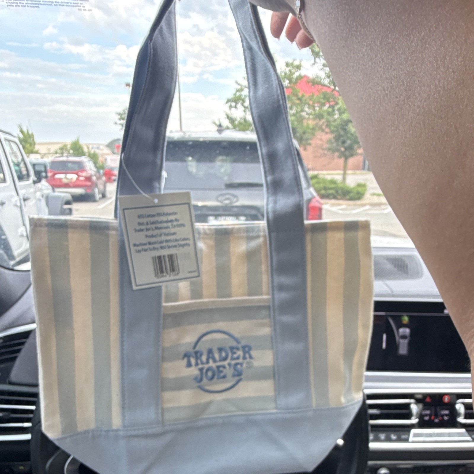 Trader Joe’s Striped Small Canvas Tote Bag Blue/Beige 10x10x10 in New
