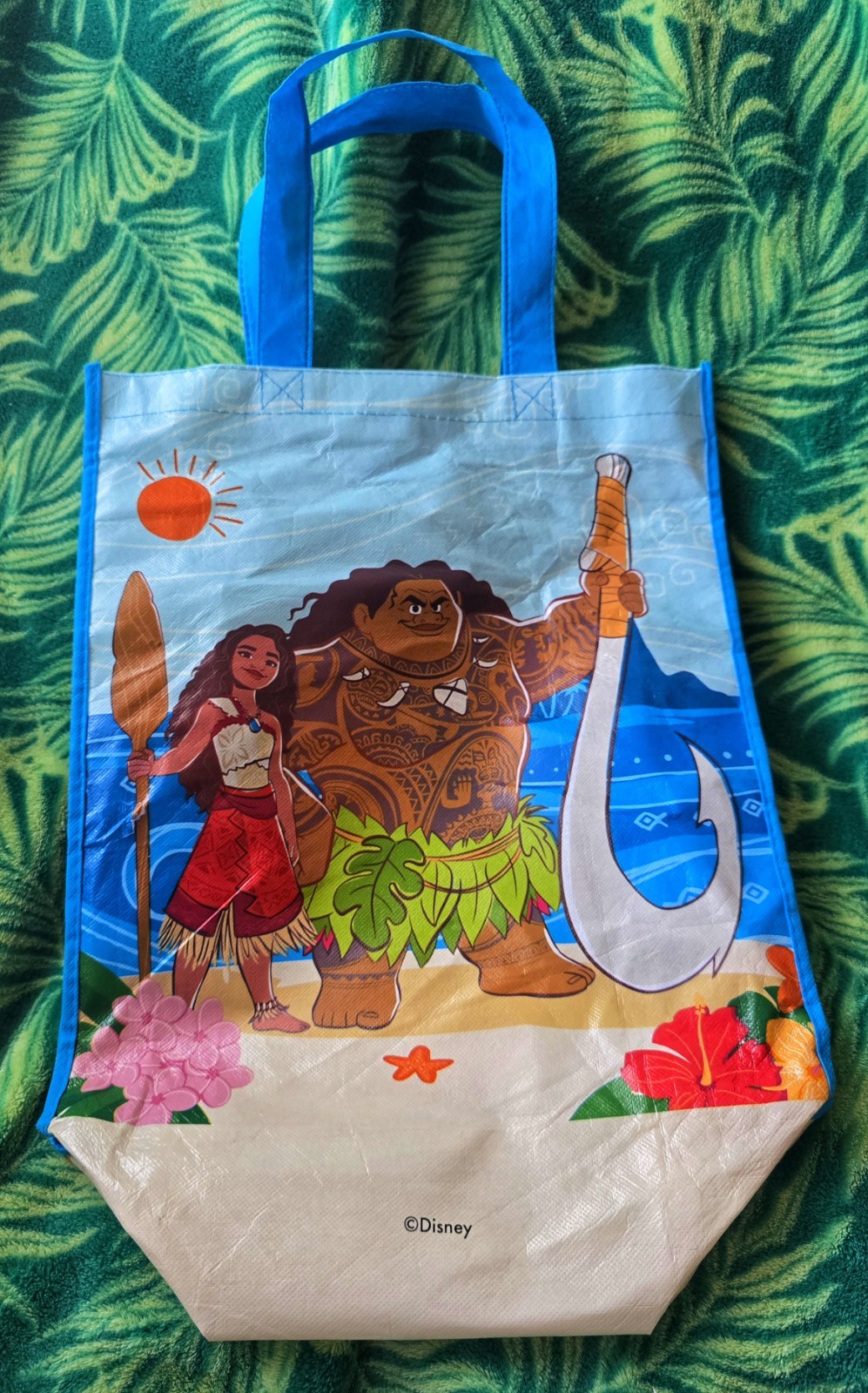 Vintage Movie Moana 2 Collections – Favorite Reusable Tote Shopping Gift Bag
