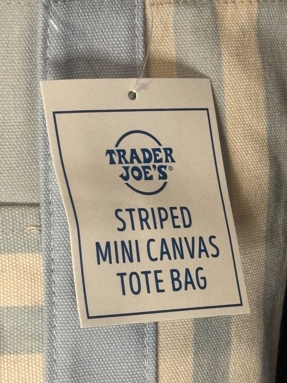 Limited Edition Summer 2026 Trader Joe’s Sky Blue Striped Mini Canvas Tote Bag