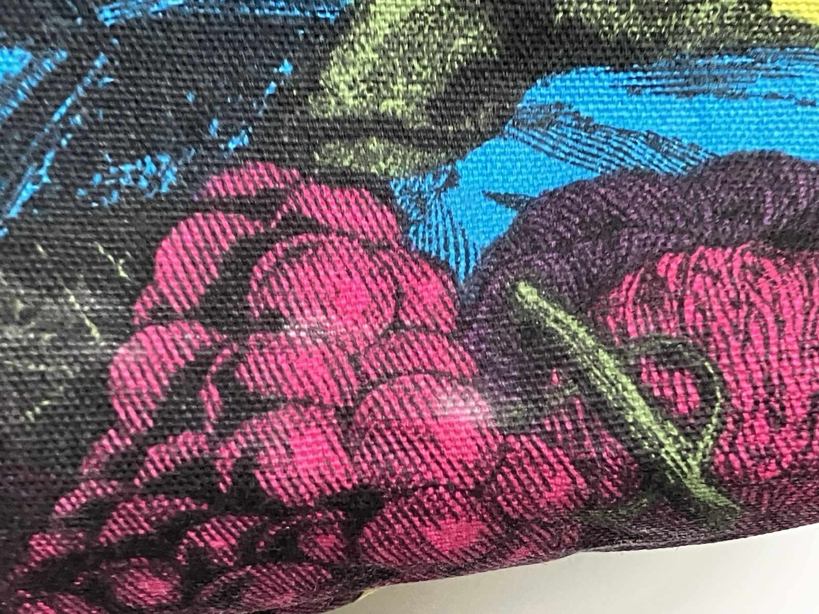 Vintage Trader Joes Tote Fruit Lady By Special Appointment Reusable Canvas Bag