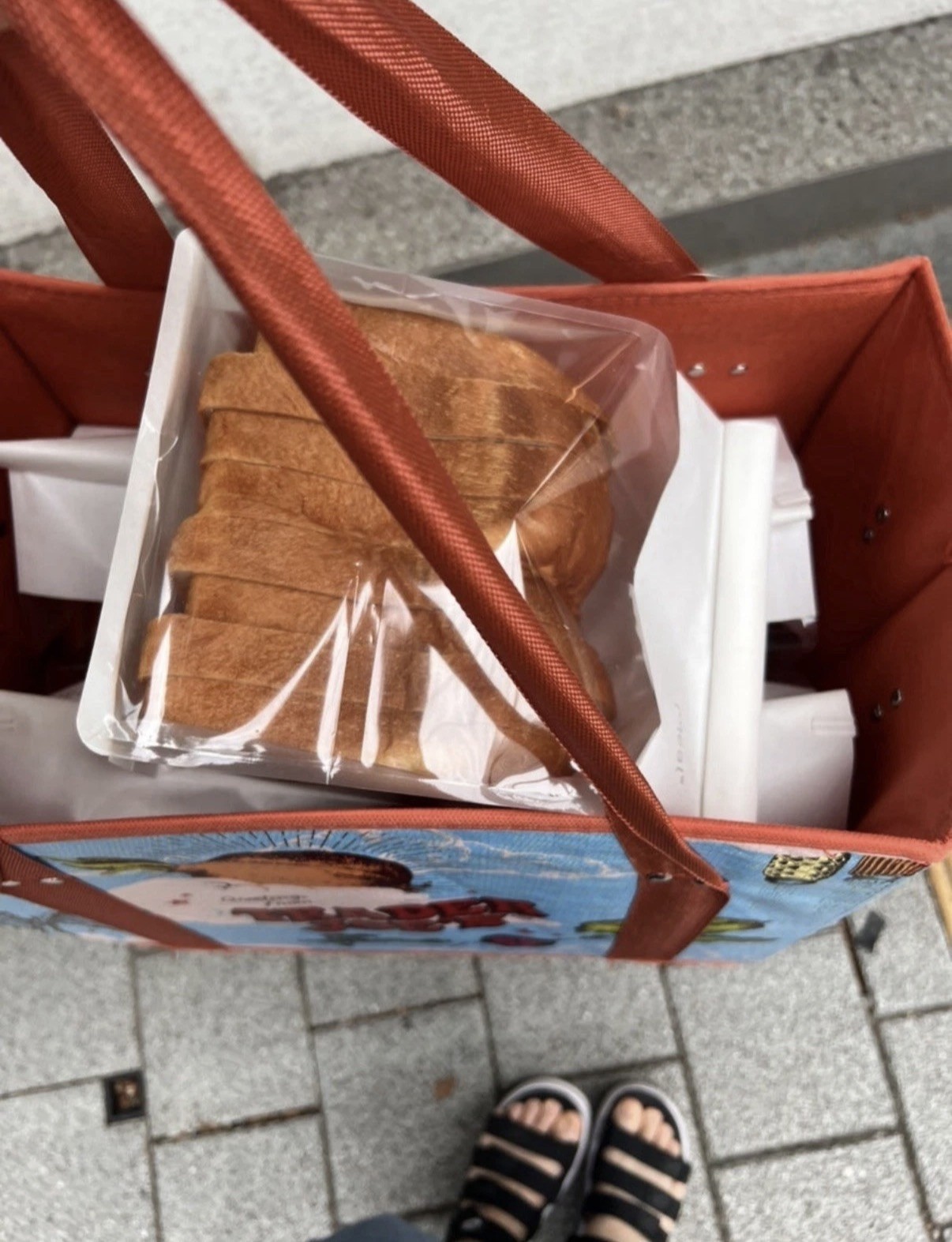 New Trader Joe’s Stand Up Collapsible Reusable Grocery Tote Shopping Bag