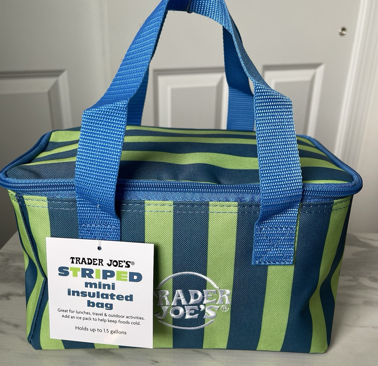 NWT Trader Joe’s STRIPED Mini Insulated Tote Bag Striped Blue Green w/ STICKERS!