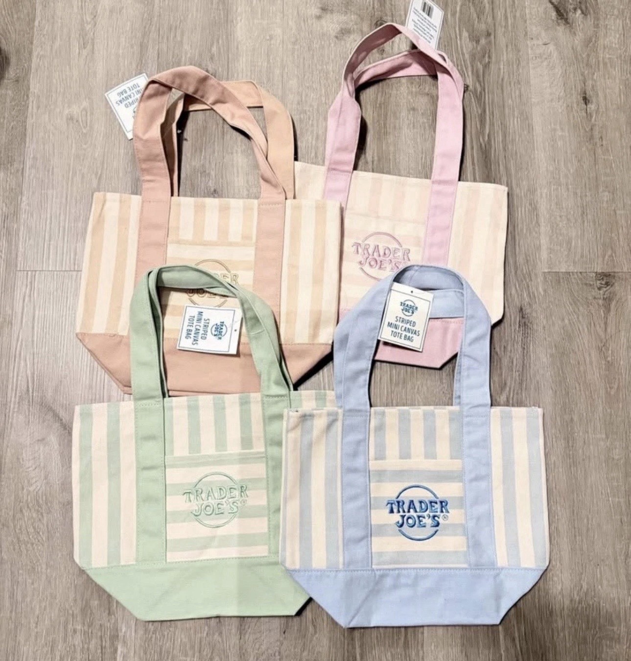 Trader Joe’s Canvas Mini Tote Bag Striped Multicolor 13x11x6 in New