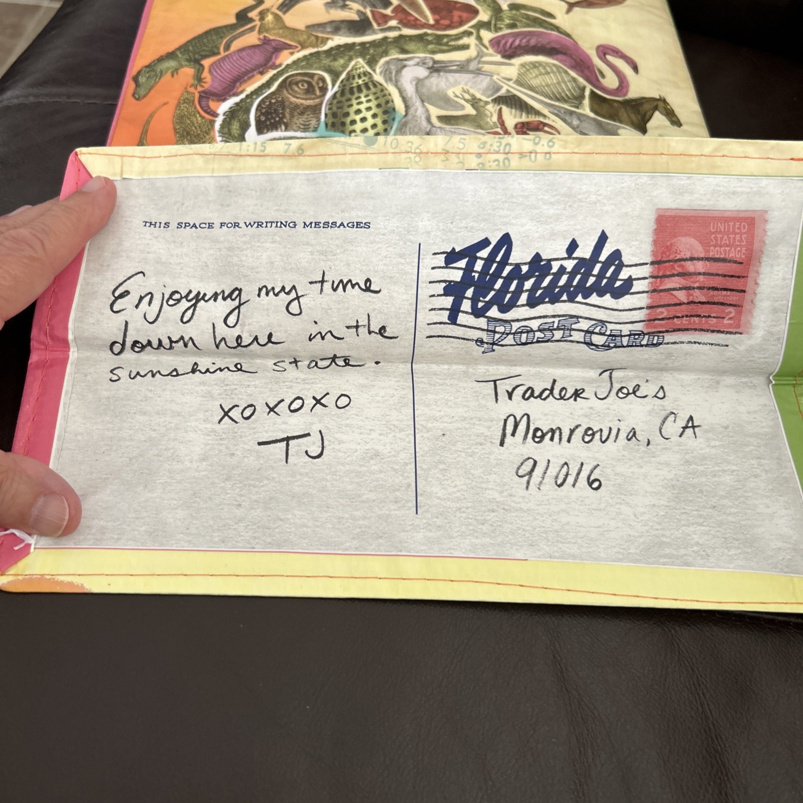 New Trader Joe’s Reusable Grocery Bag, Florida Theme, 6 Gallons Capacity