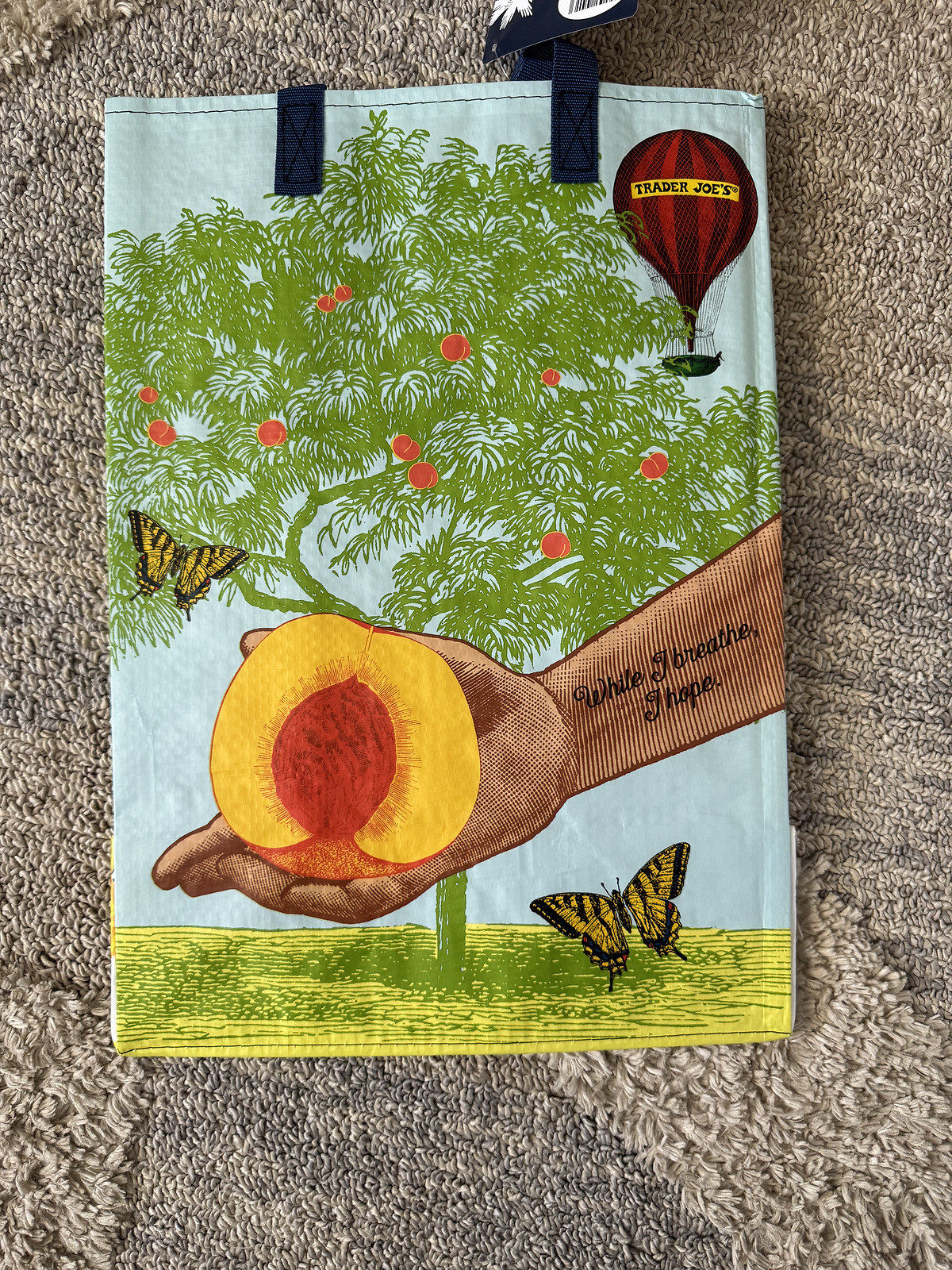 Trader Joe’s Mystery Bag 2024 Pick Your Bag-NEW never used.