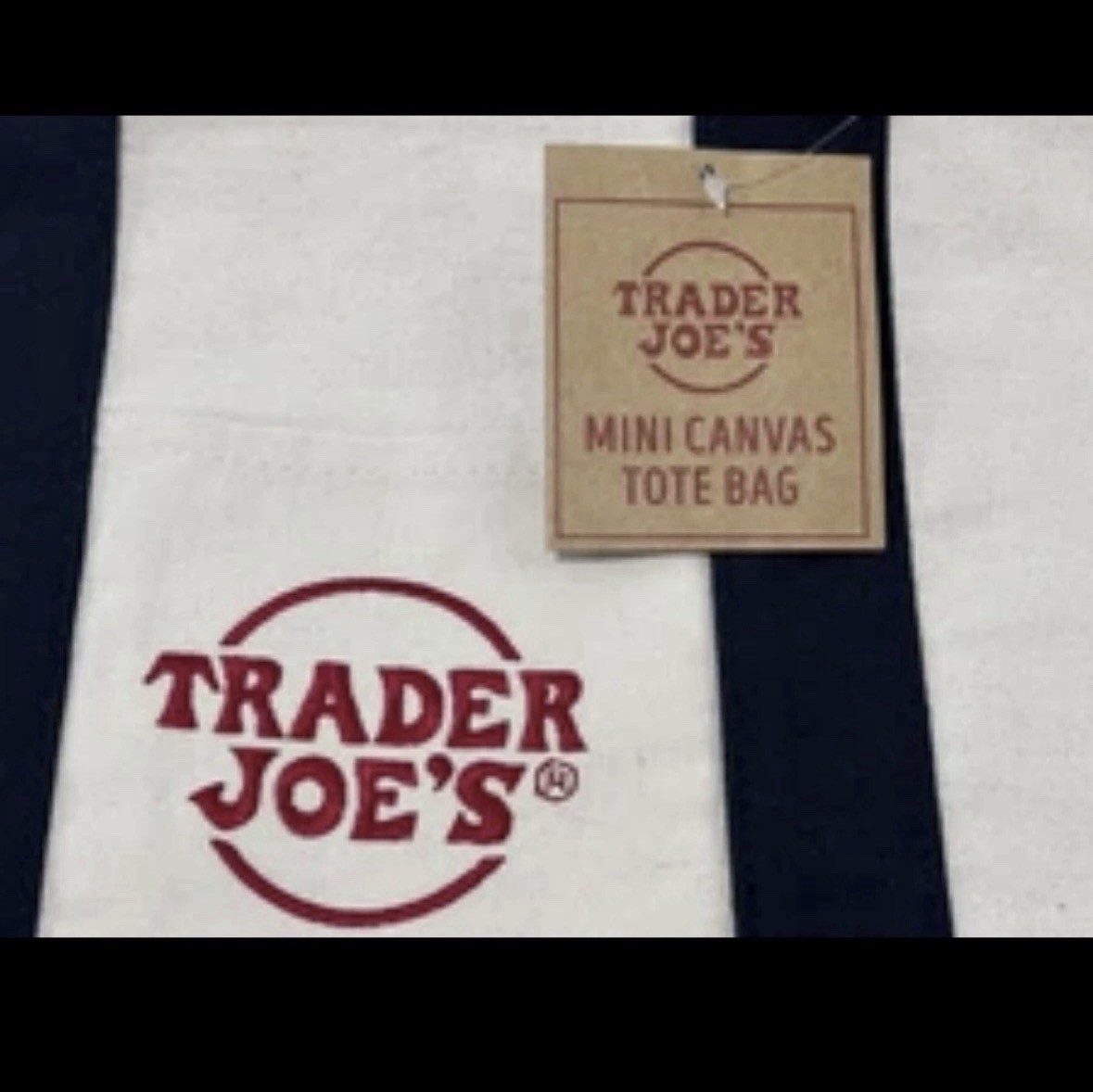 Trader Joe’s Canvas Tote Bag and Mini Tote Pair NAVY BLUE Set of 2 NWT SOLD OUT