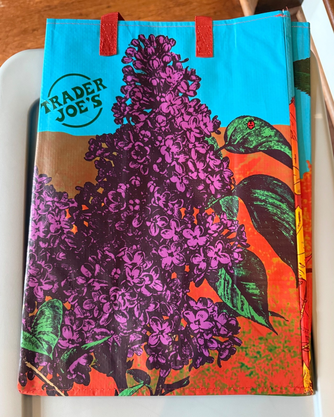 NWT Trader Joe’s Eco Reusable Grocery Shopping Tote Bag—Multiple Choices