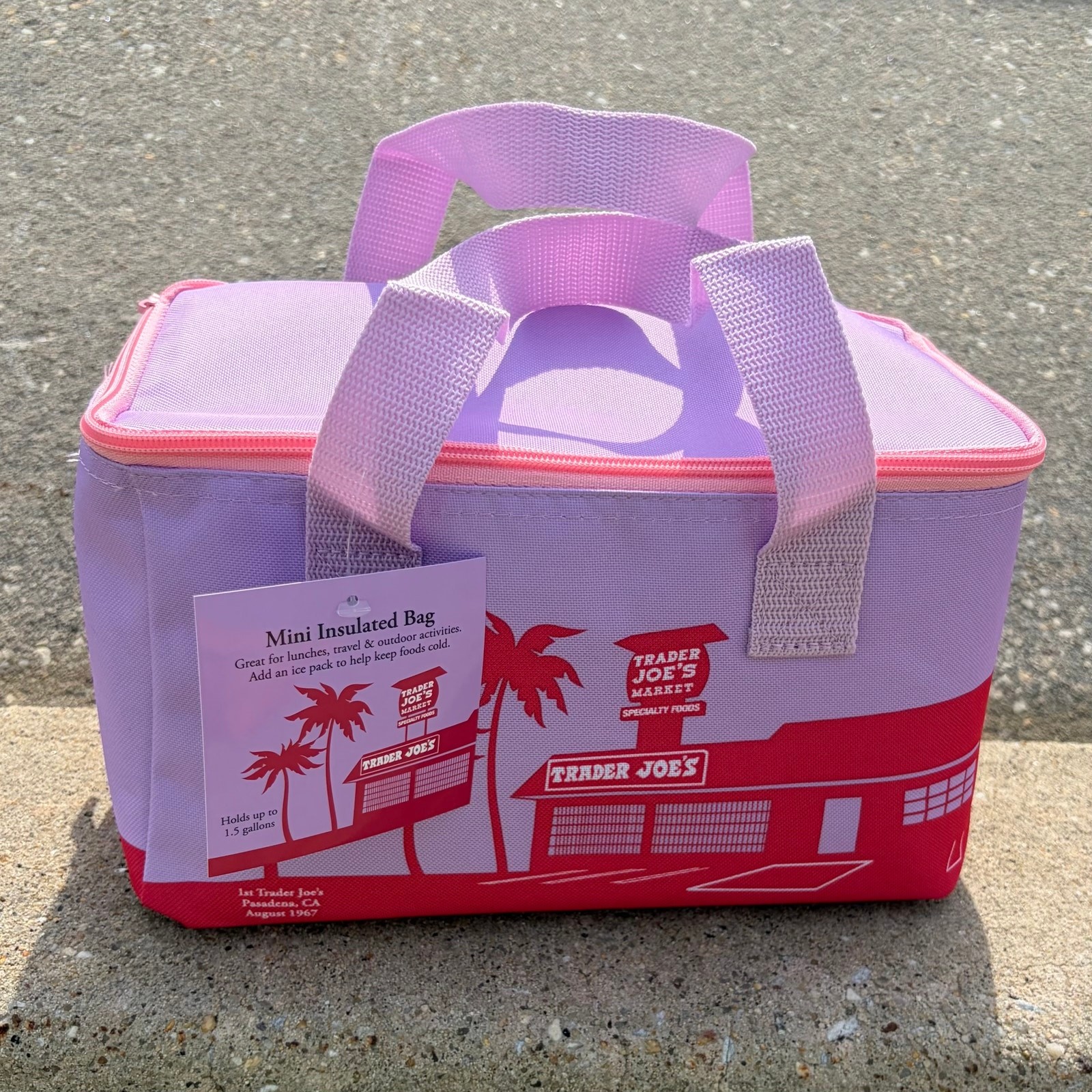 Trader Joe’s Mini Insulated Cooler Bag Tote Summer — VIOLET PURPLE + Pink Zipper