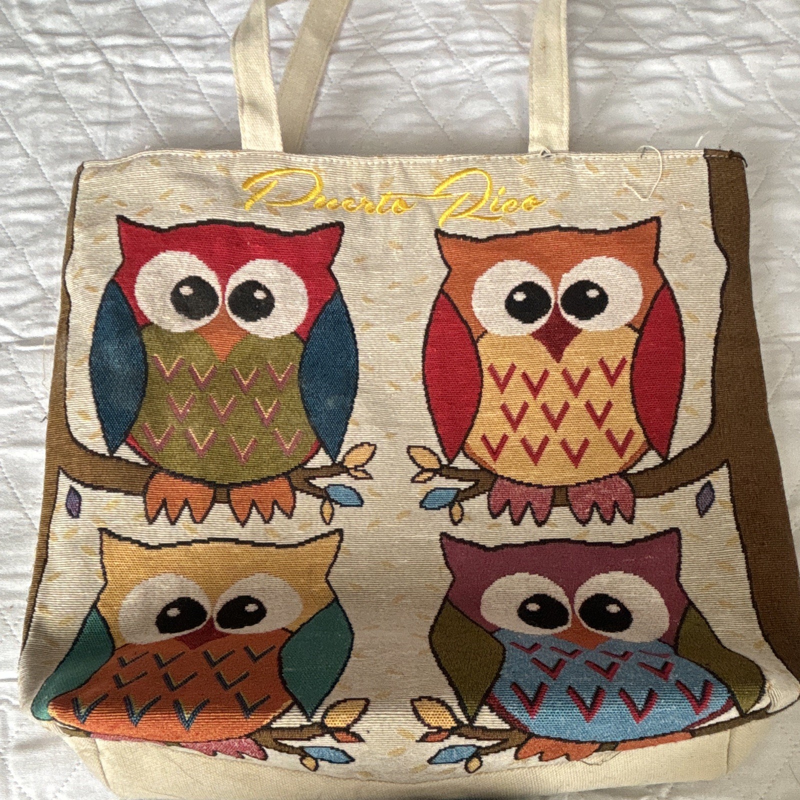 Owl Print Large Canvas Tote Bag, Beige/Multicolor 15x16x5 in Reusable