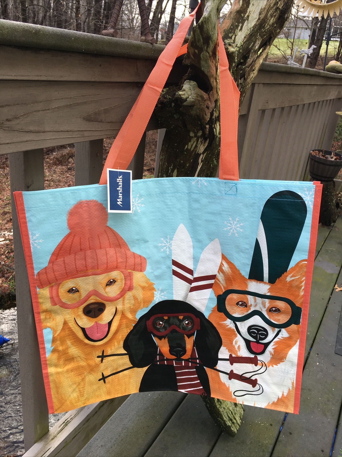 Ski Dogs~Snow Dachshund~Corgi~Gold Retriever~Shopping Bag ReusableTOTE~Marshalls