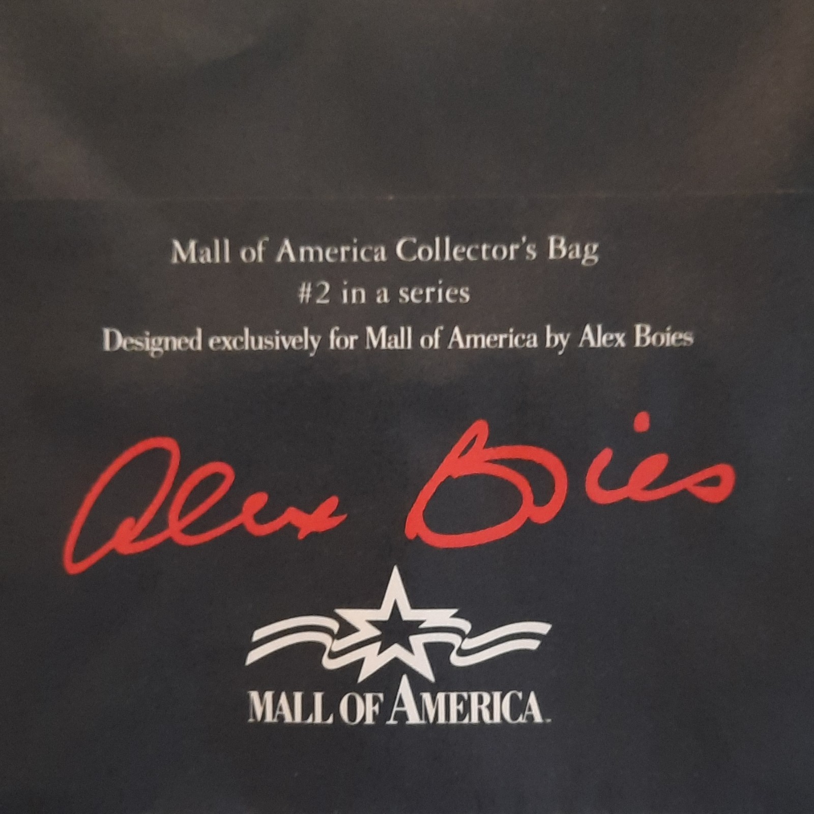 Mall of America Collector’s Bag #2 Series Reusable Paper Handle Bag, All-Over