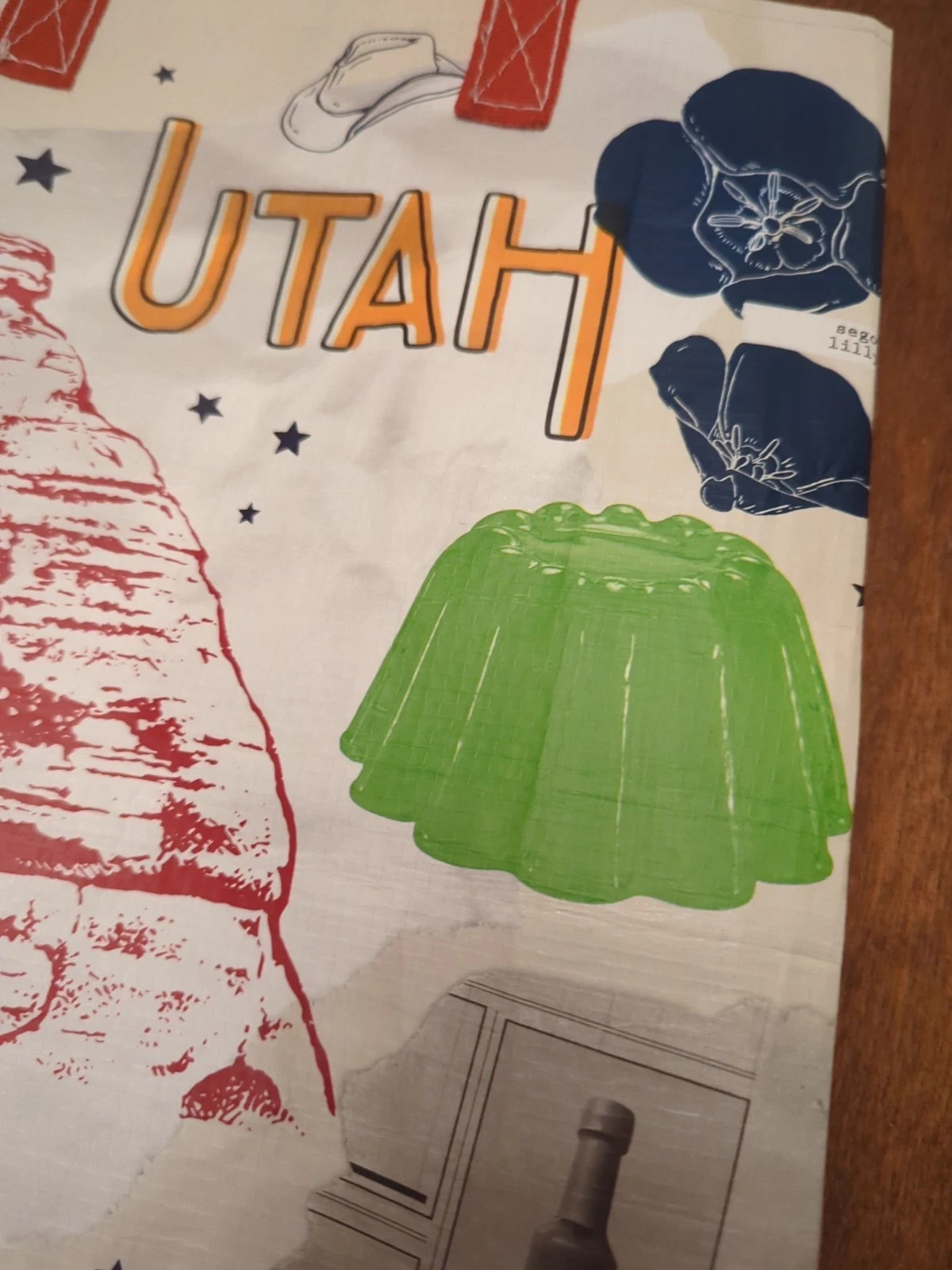 Trader Joe’s Utah Reusable Shopping Bag: Dinosaur, Arches, Bison, Umbrellas
