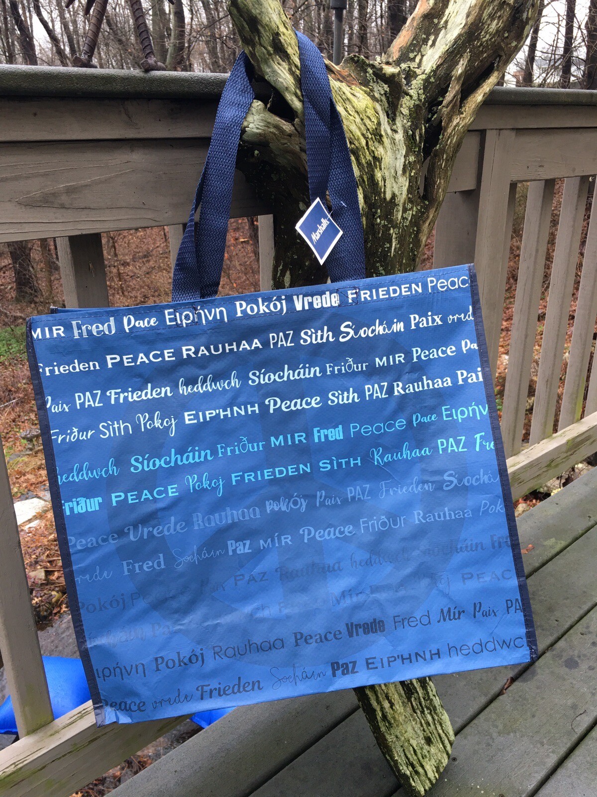 NEW Shopping Bag~PEACE in All Languages ☮️ Holiday reusable Tote~Marshalls